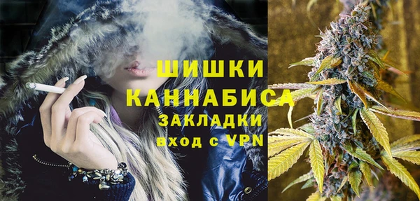 гашик Балахна