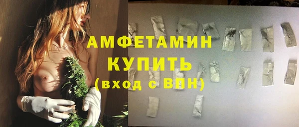 твердый Дмитров