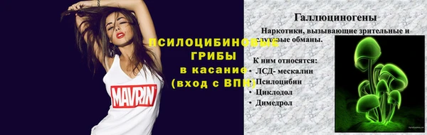 гашик Балахна