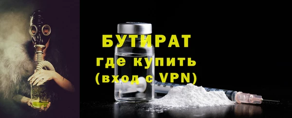 тгк Дмитриев