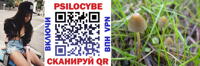 Псилоцибиновые грибы прущие грибы  Вуктыл 